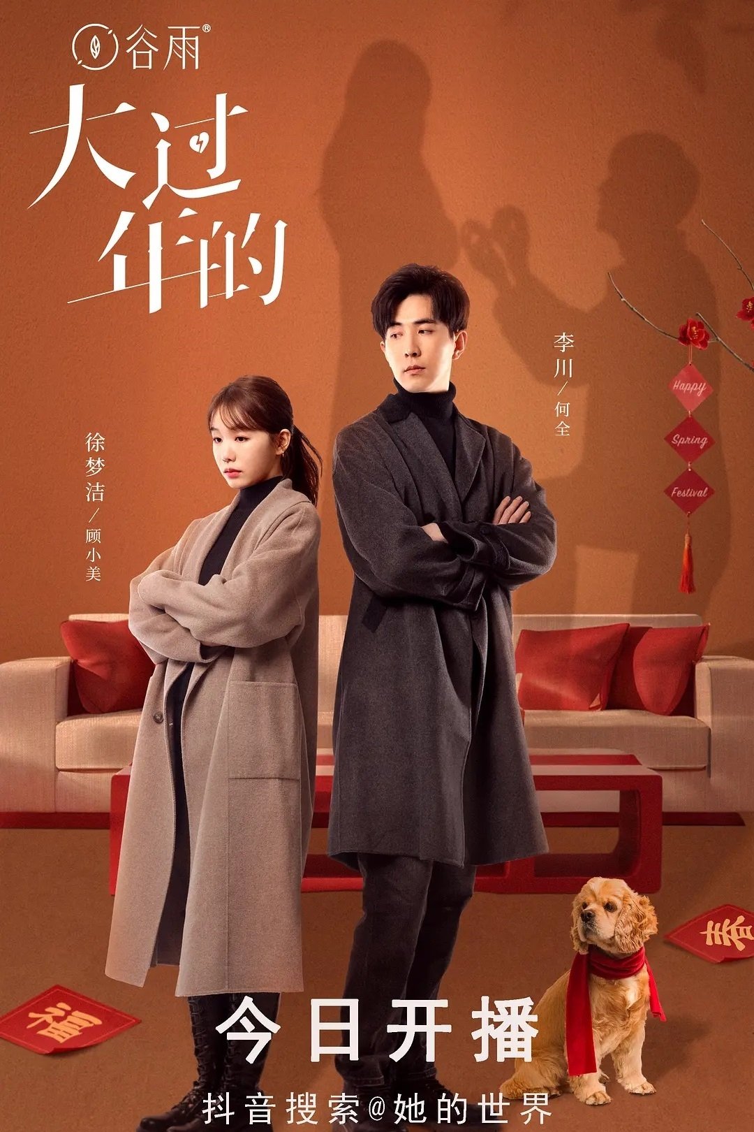 Poster de 大过年的