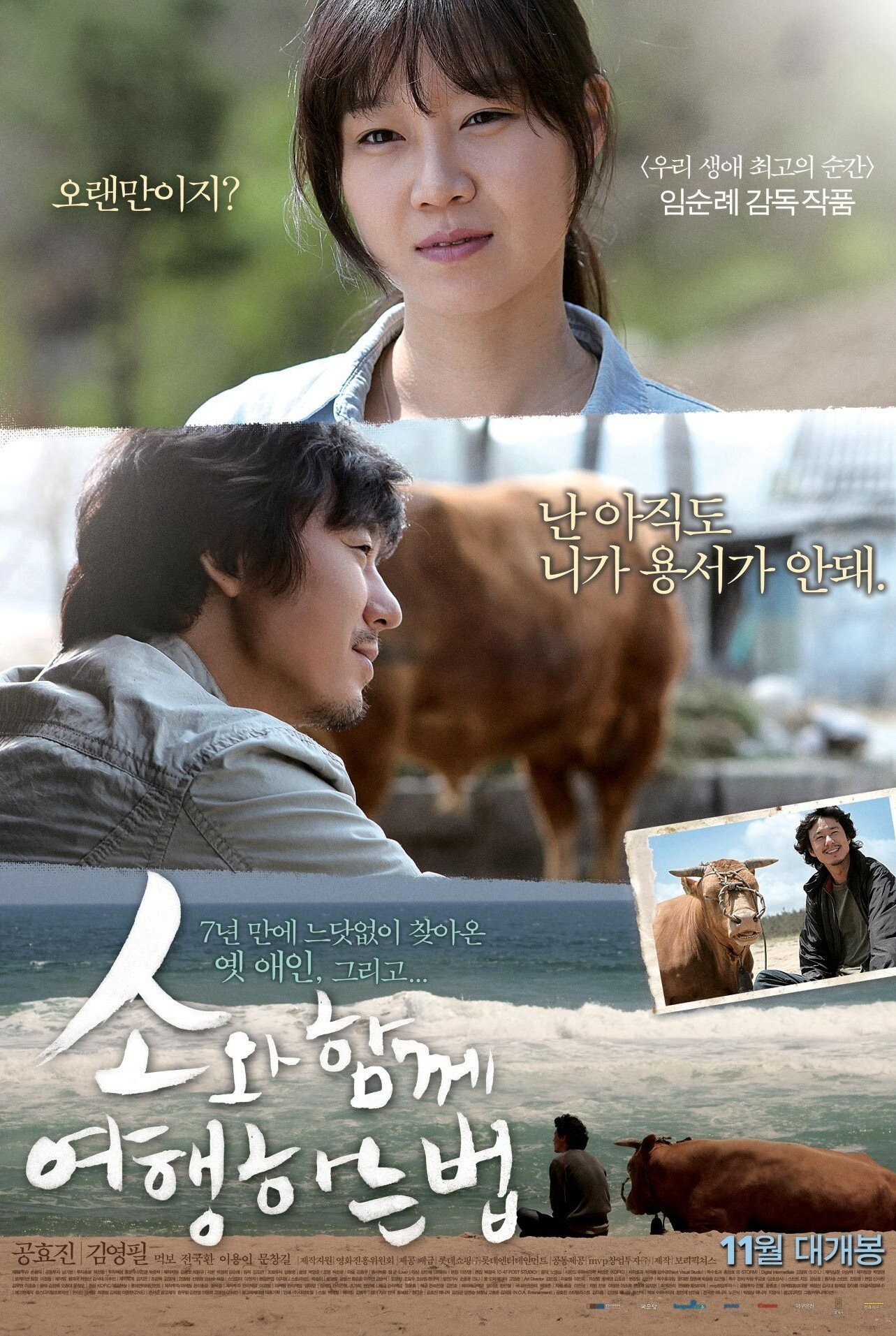 Poster de 소와 함께 여행하는 법