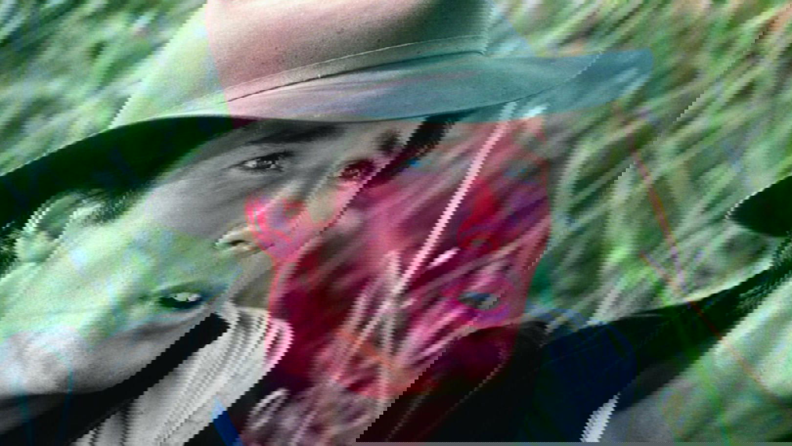 Backdrop image