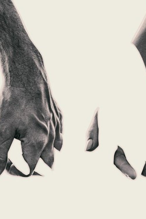 Poster de Unprecedented