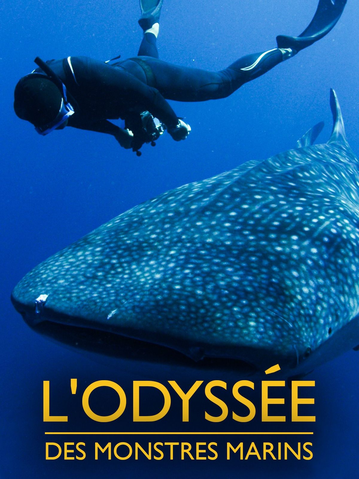 Poster de L'odyssée des monstres marins