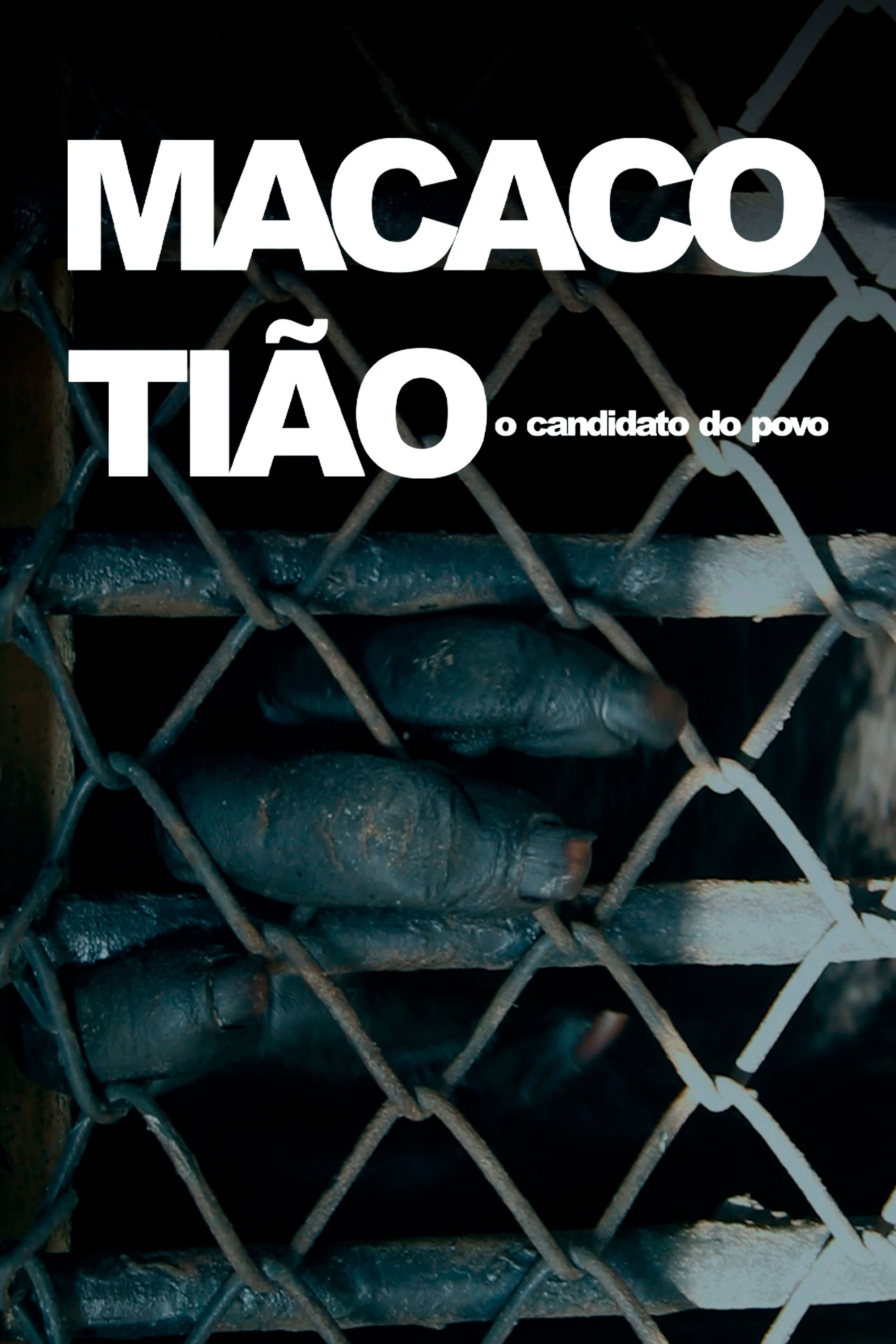 Poster de Macaco Tião - O Candidato do Povo
