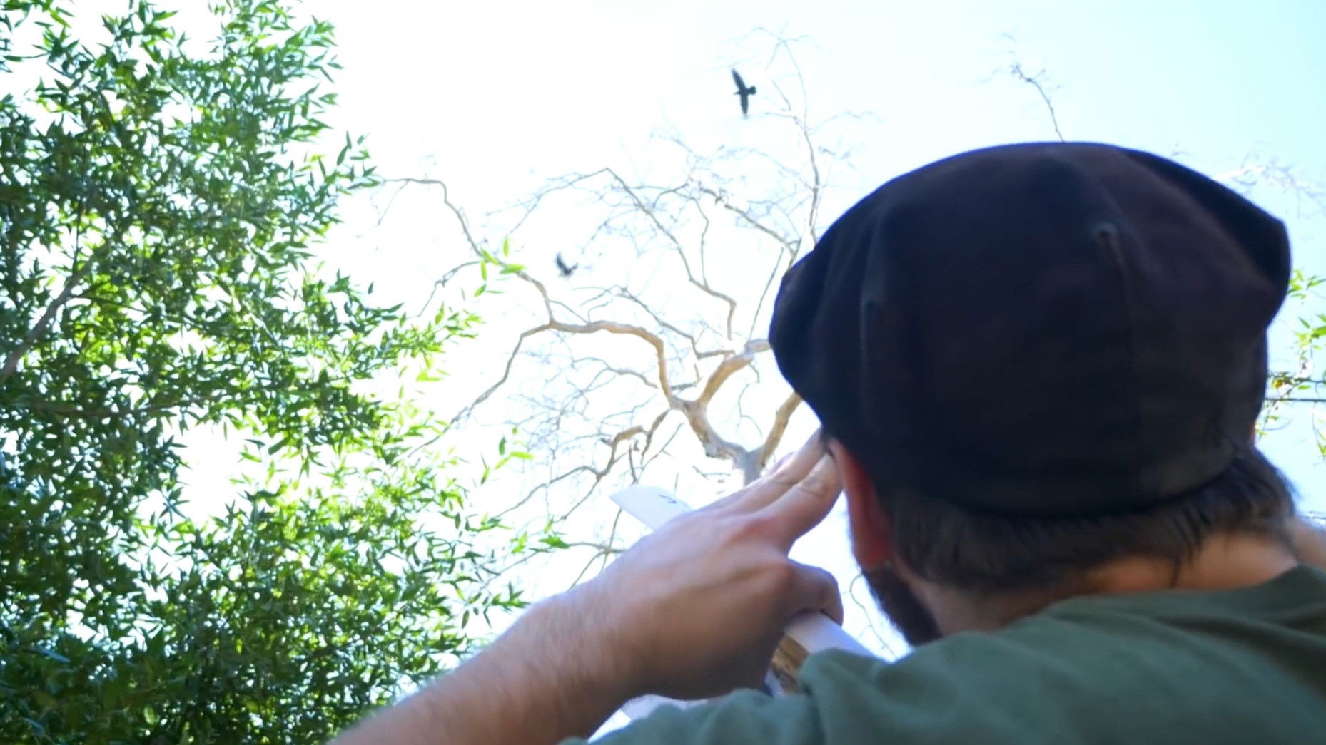 Birdwatching with BMart