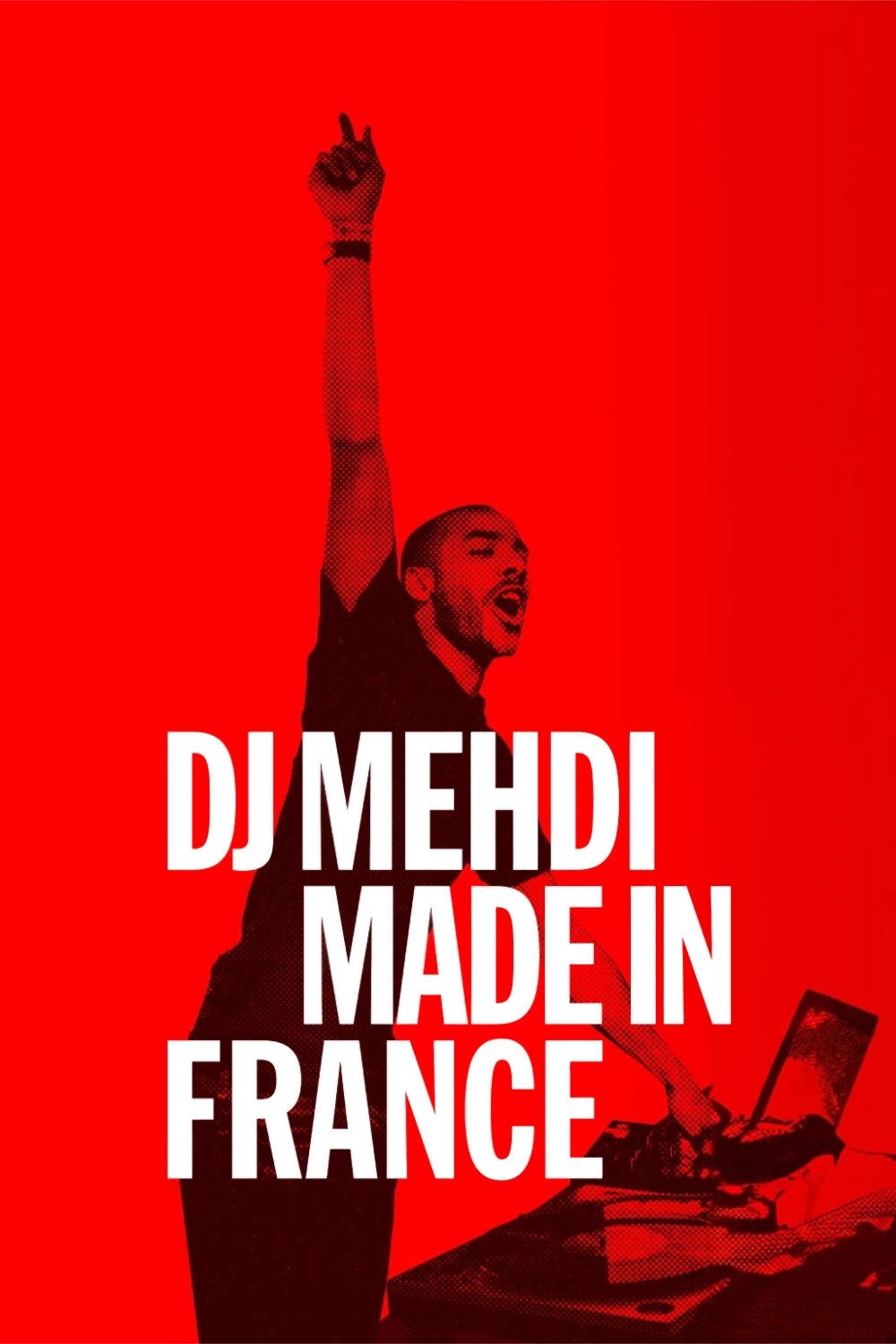 Poster de DJ Mehdi: Made in France