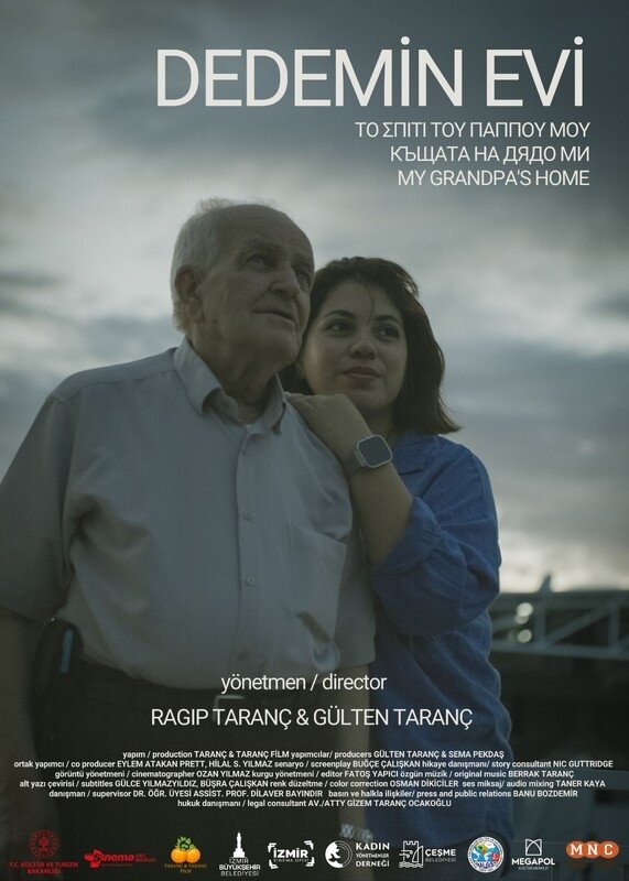 Poster de Dedemin Evi