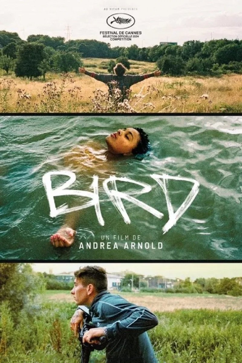 Affiche du film Bird