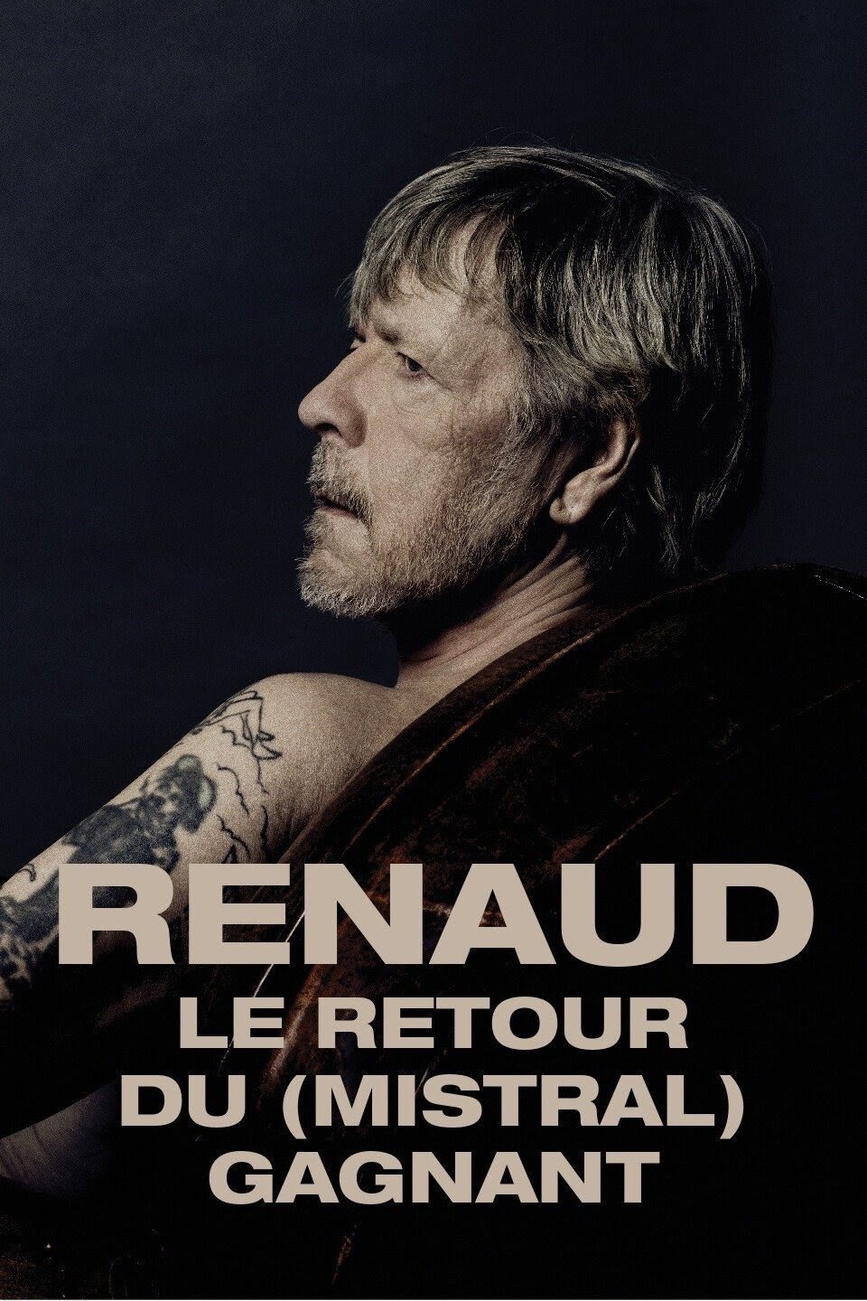 Affiche du film Renaud, le retour du (mistral) gagnant
