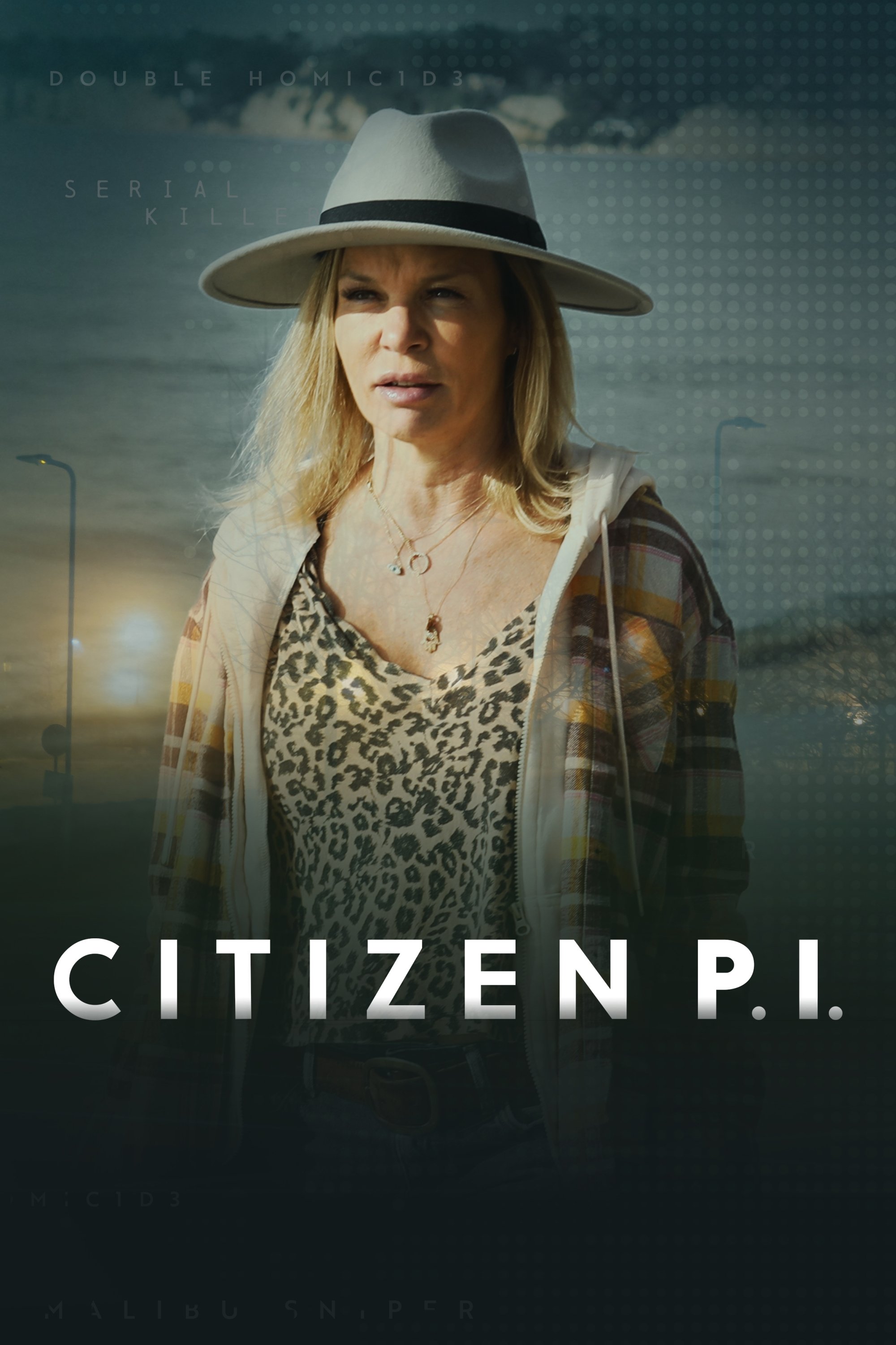 Poster de Citizen P.I.