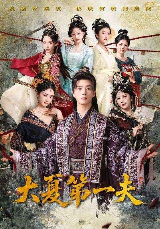 Poster de 大夏第一夫