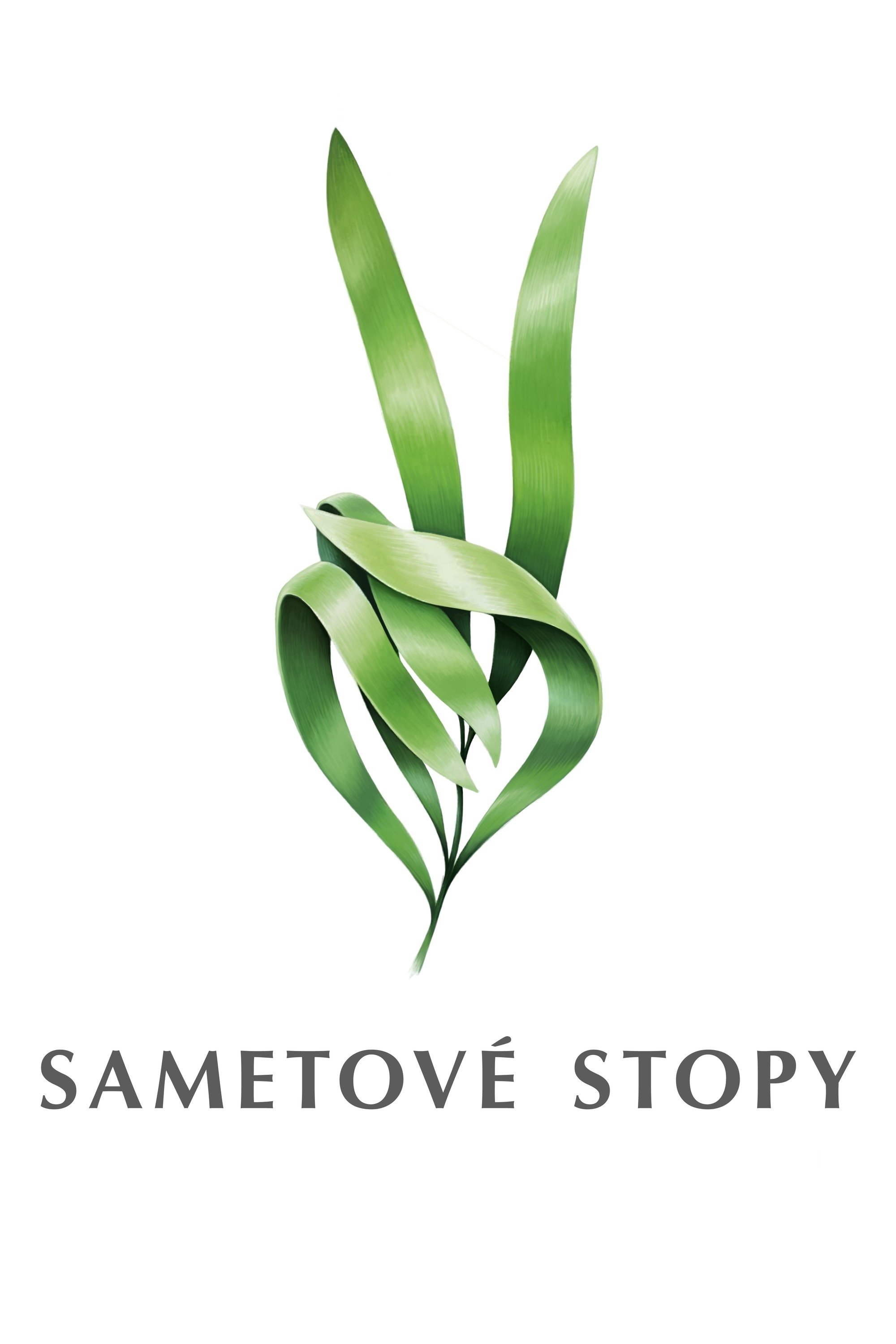 Poster de Sametové stopy