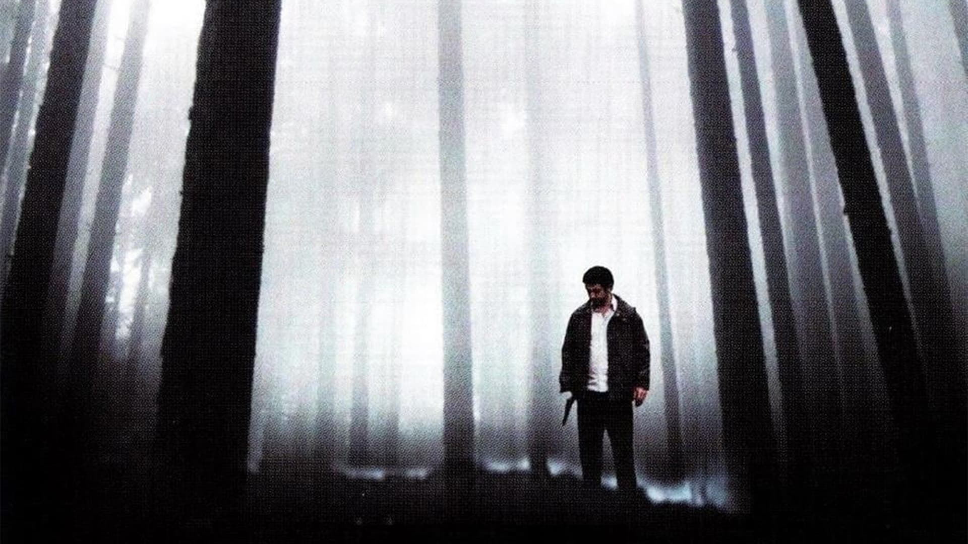 Backdrop