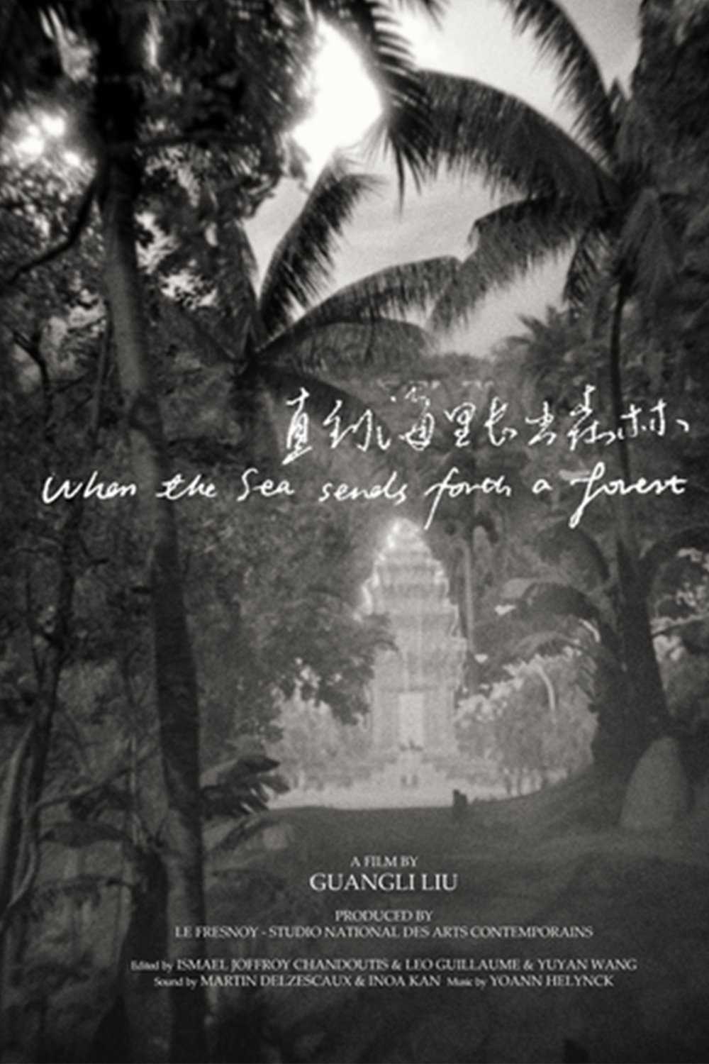 Poster de Quando o Mar Manda uma Floresta