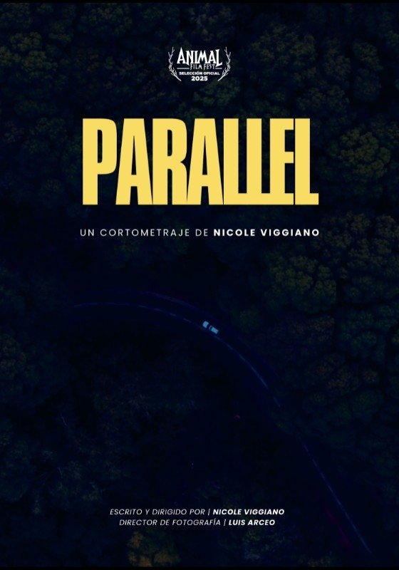 Poster de Parallel