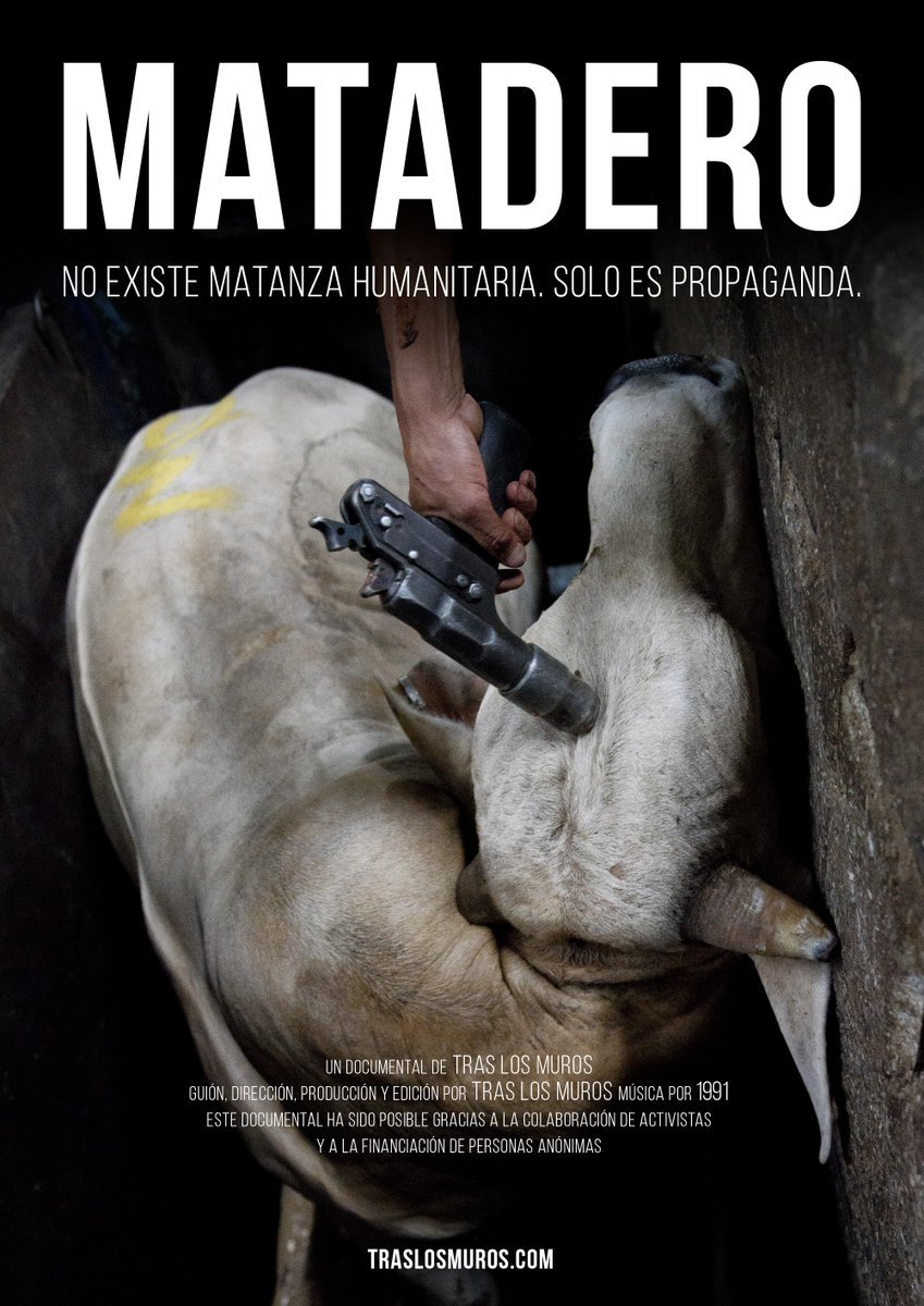 Poster for Matadero