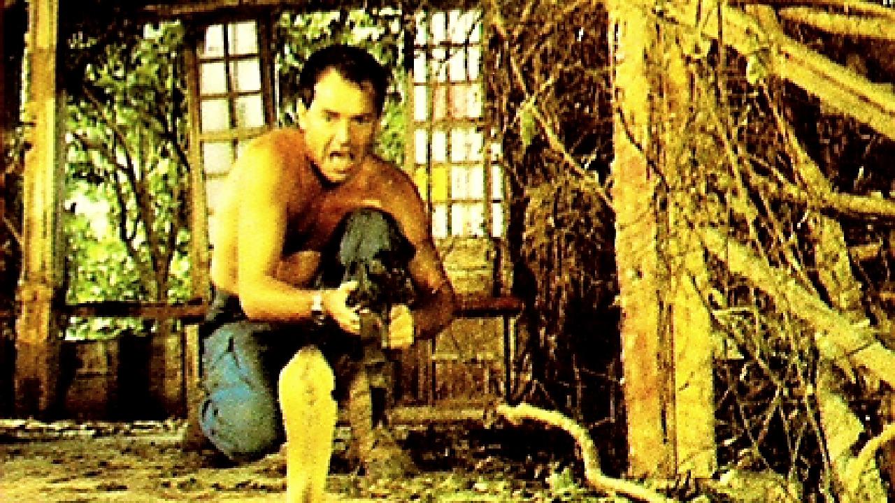 Backdrop image