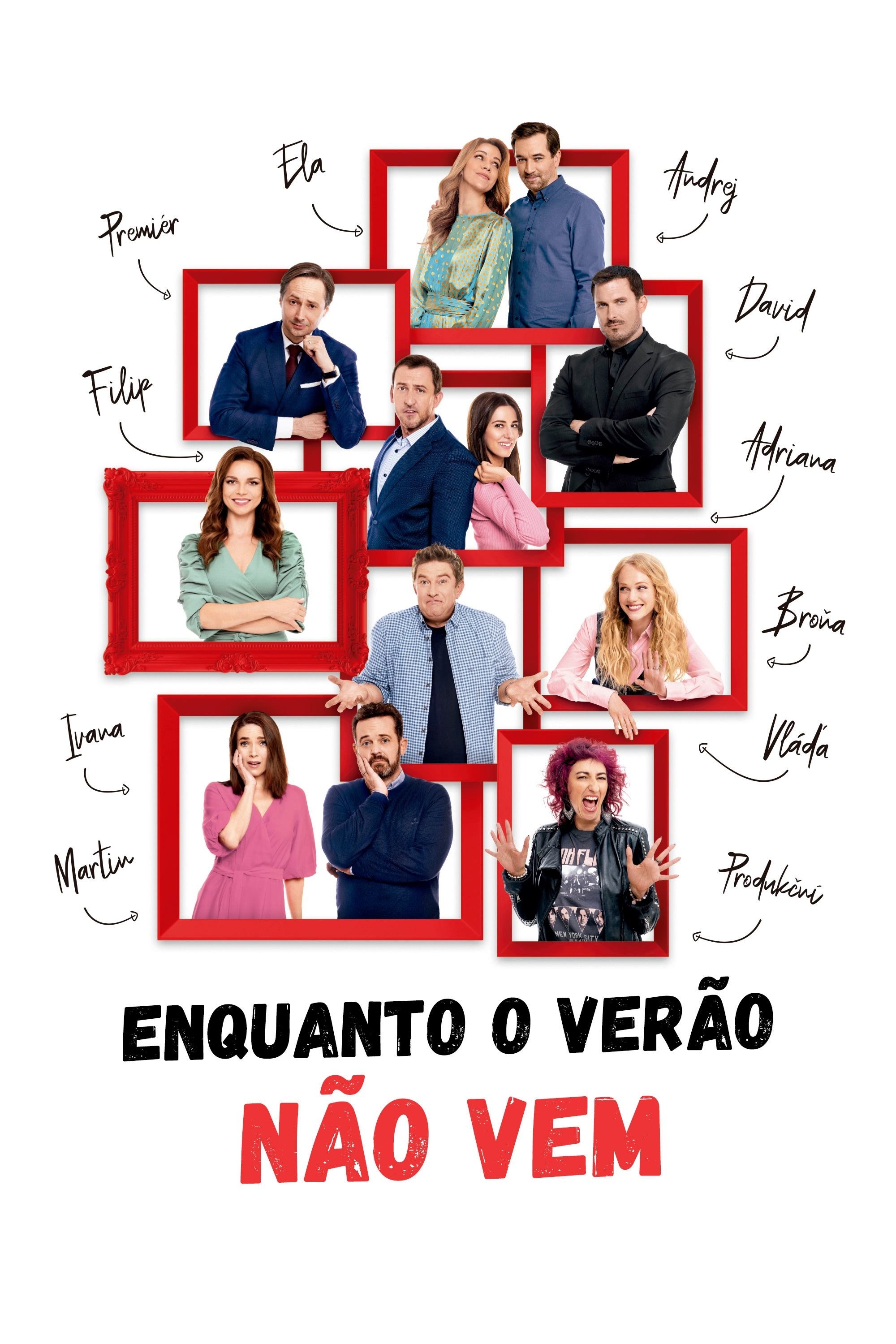 Poster de Enquanto o Verão Não Vem