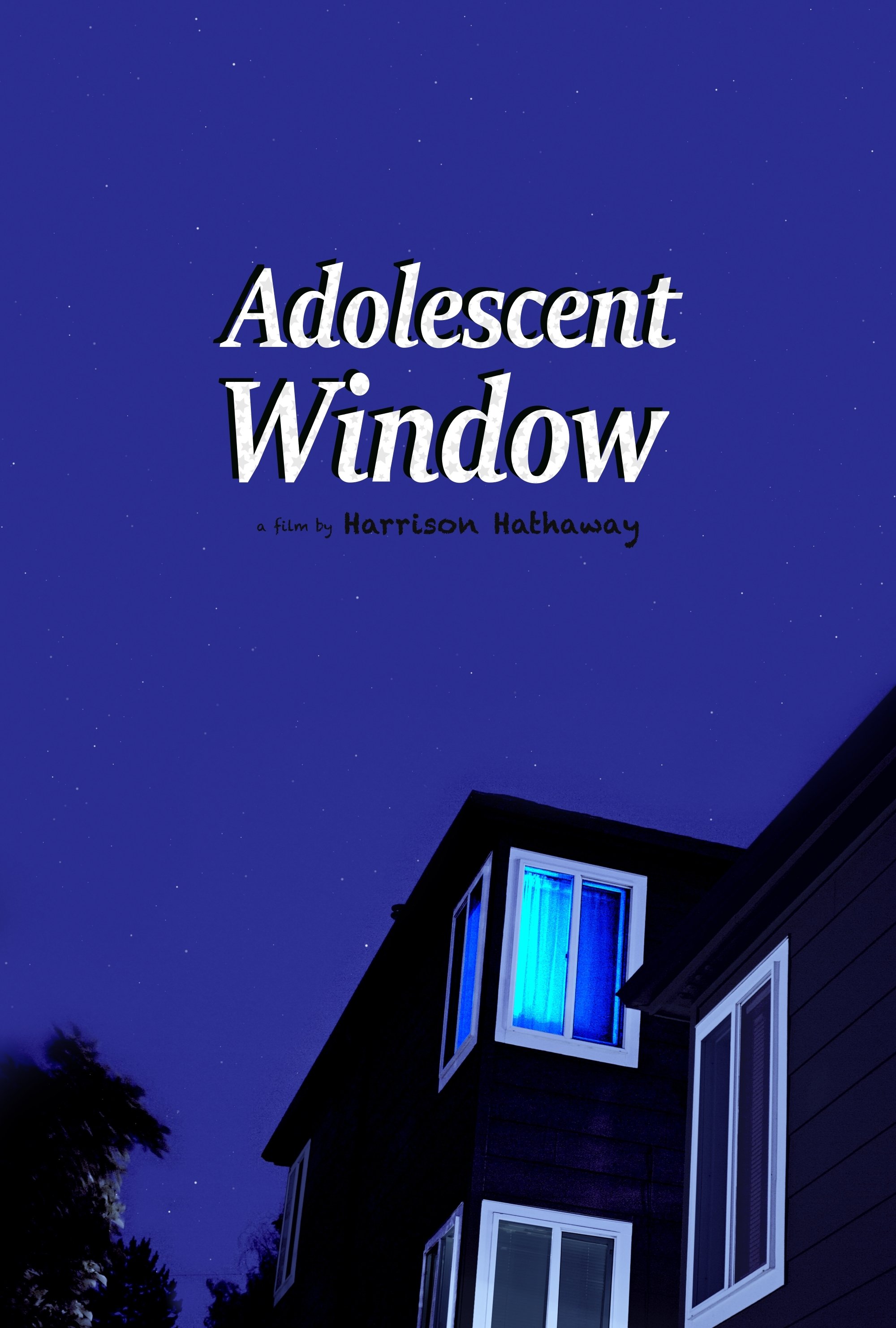 Poster de Adolescent Window