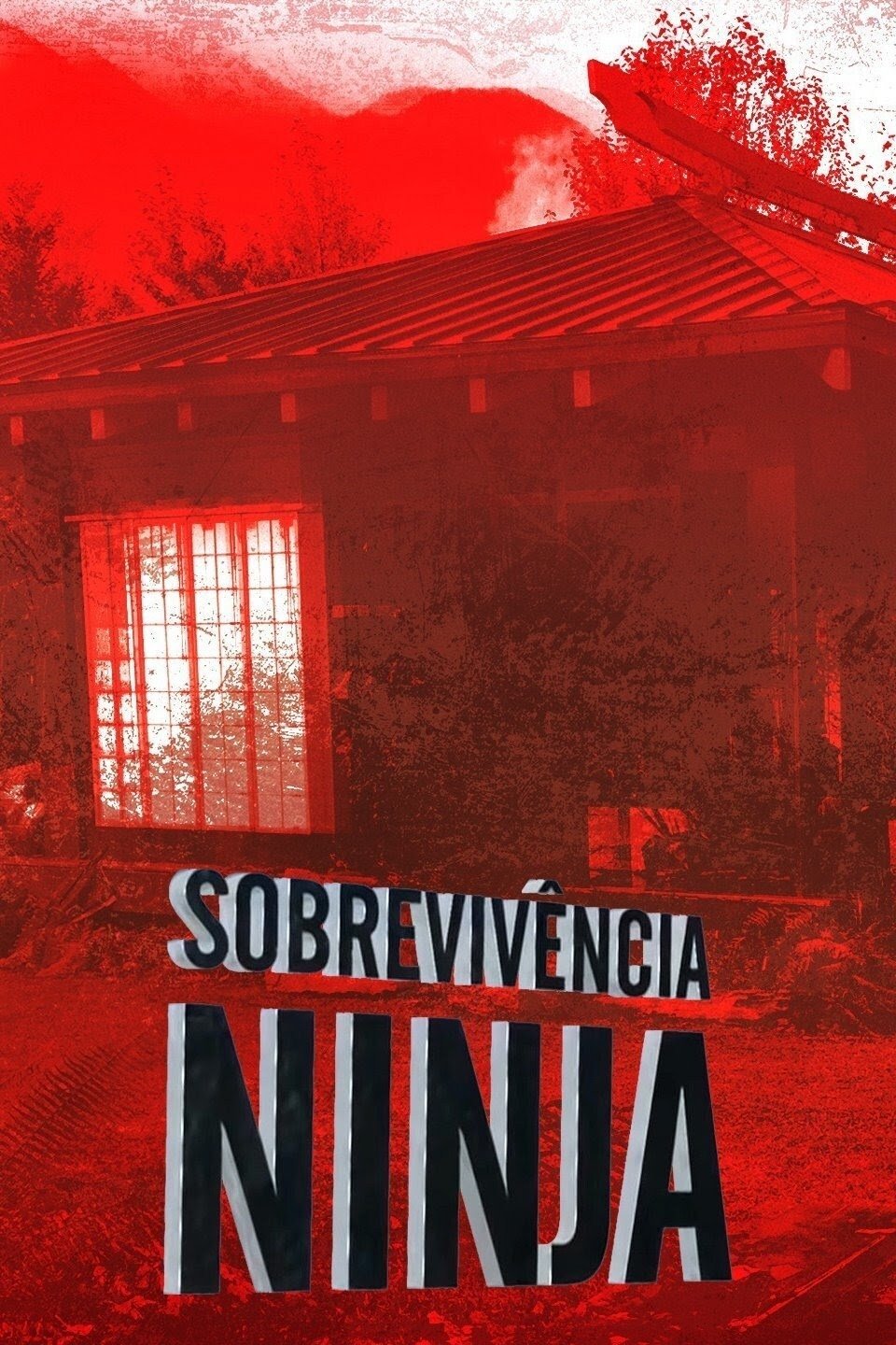 Poster de Sobrevivência Ninja