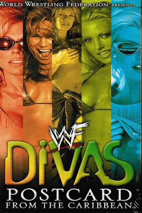 Affiche du film WWF Divas: Postcard From the Caribbean