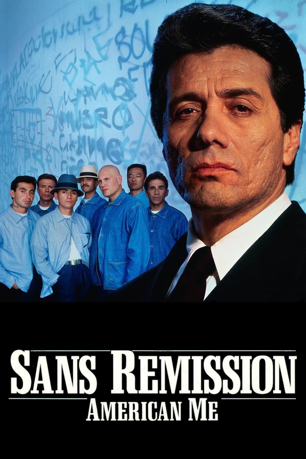 Affiche du film Sans rémission