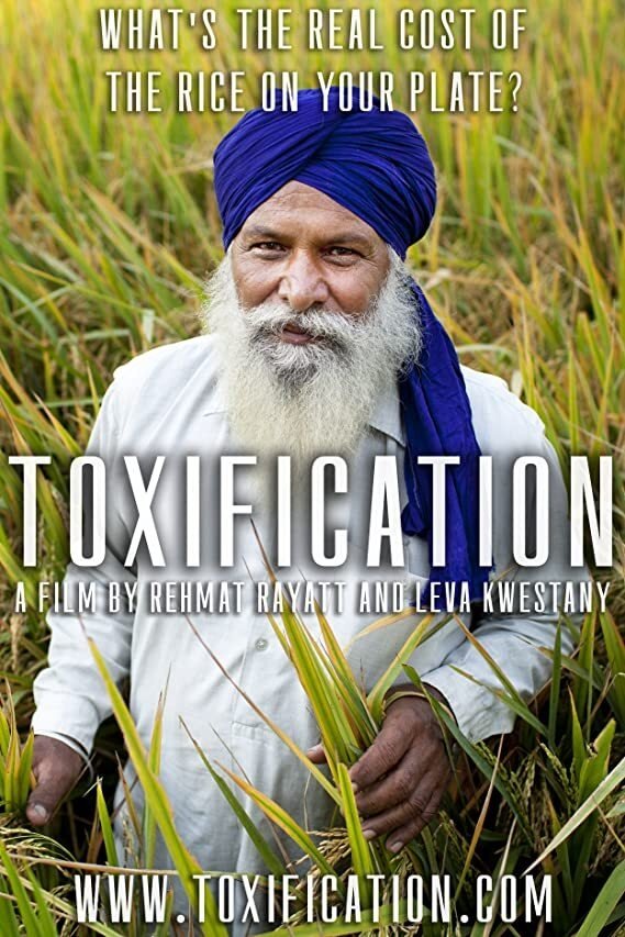 Poster de Toxification