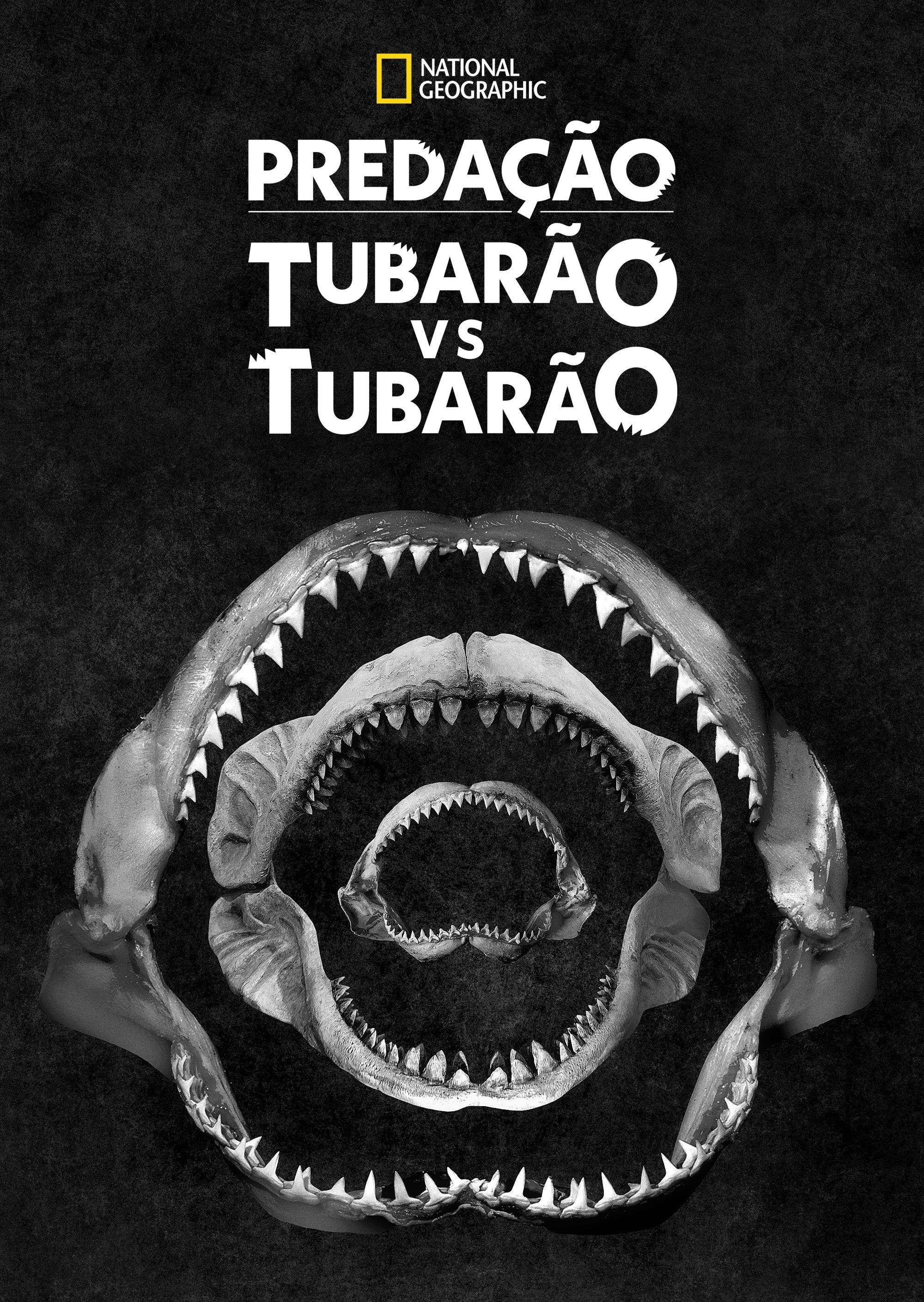 Poster de Predação: Tubarão vs Tubarão
