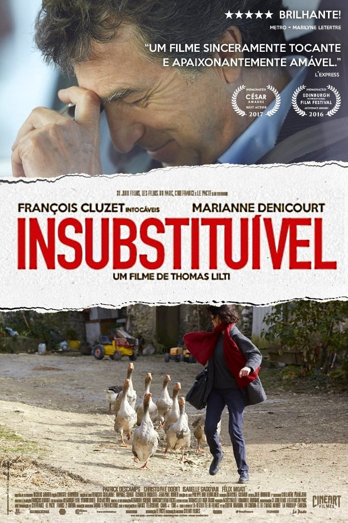 Poster de Insubstituível