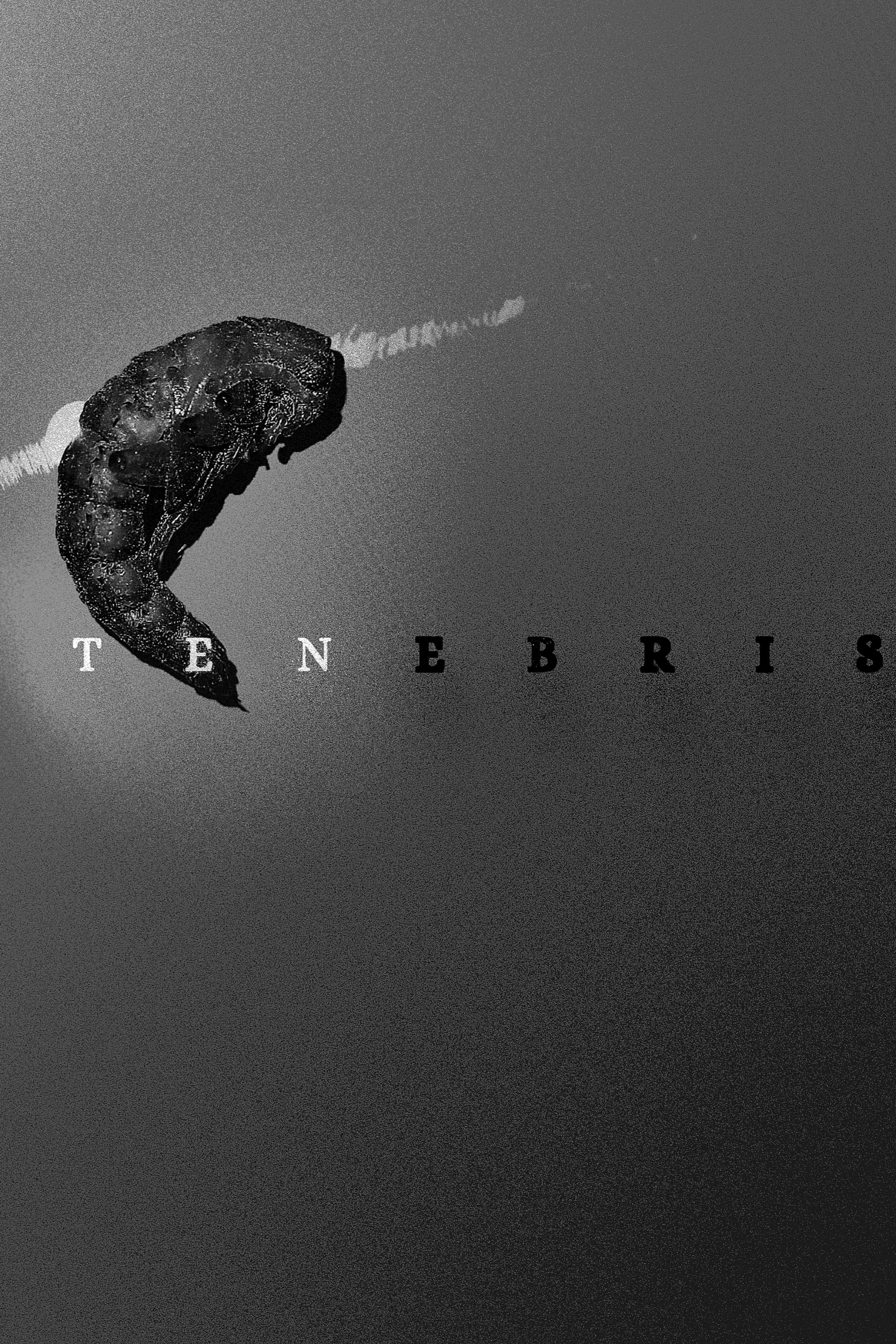 Poster de Tenebris