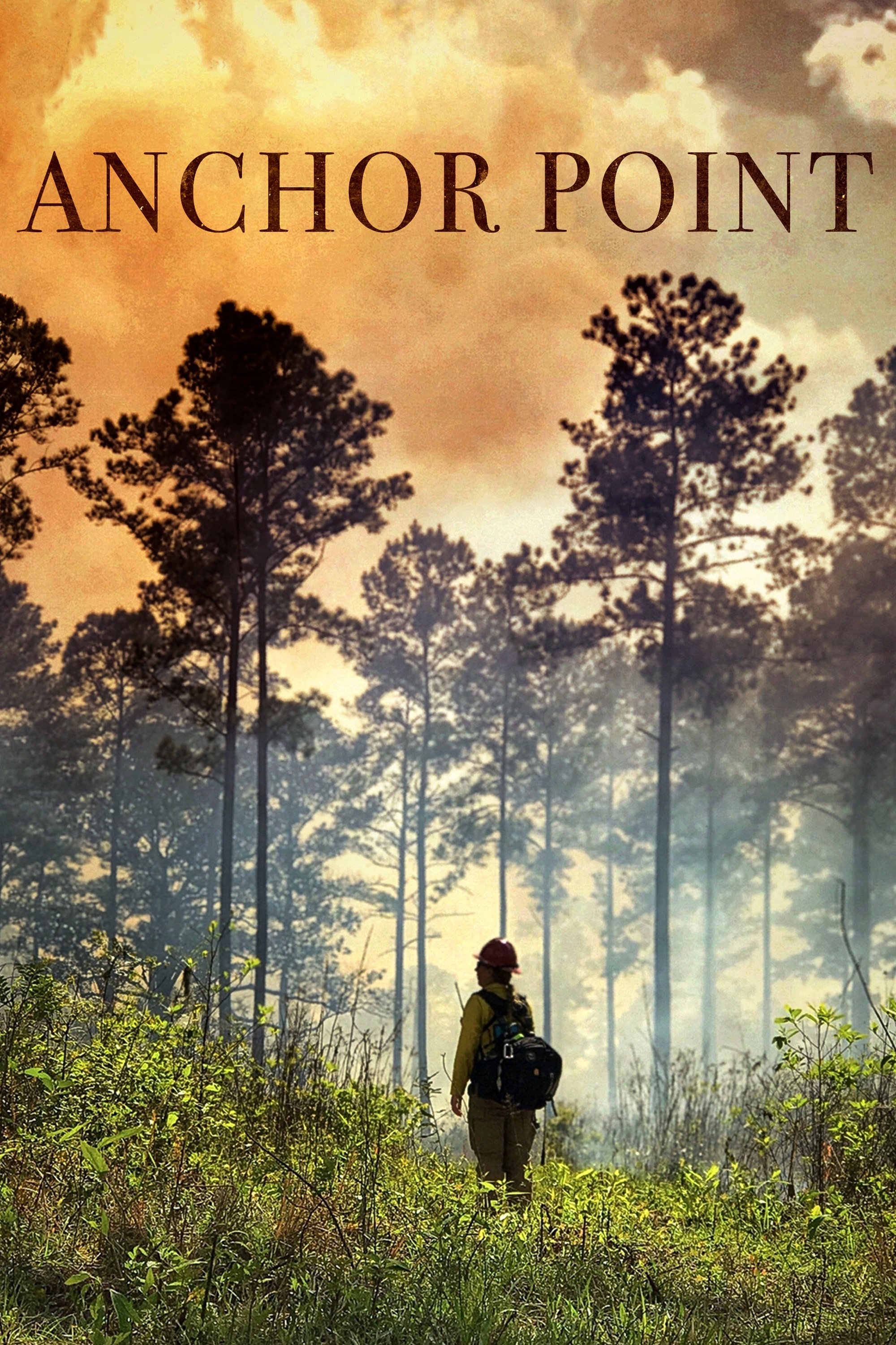 Poster de Anchor Point