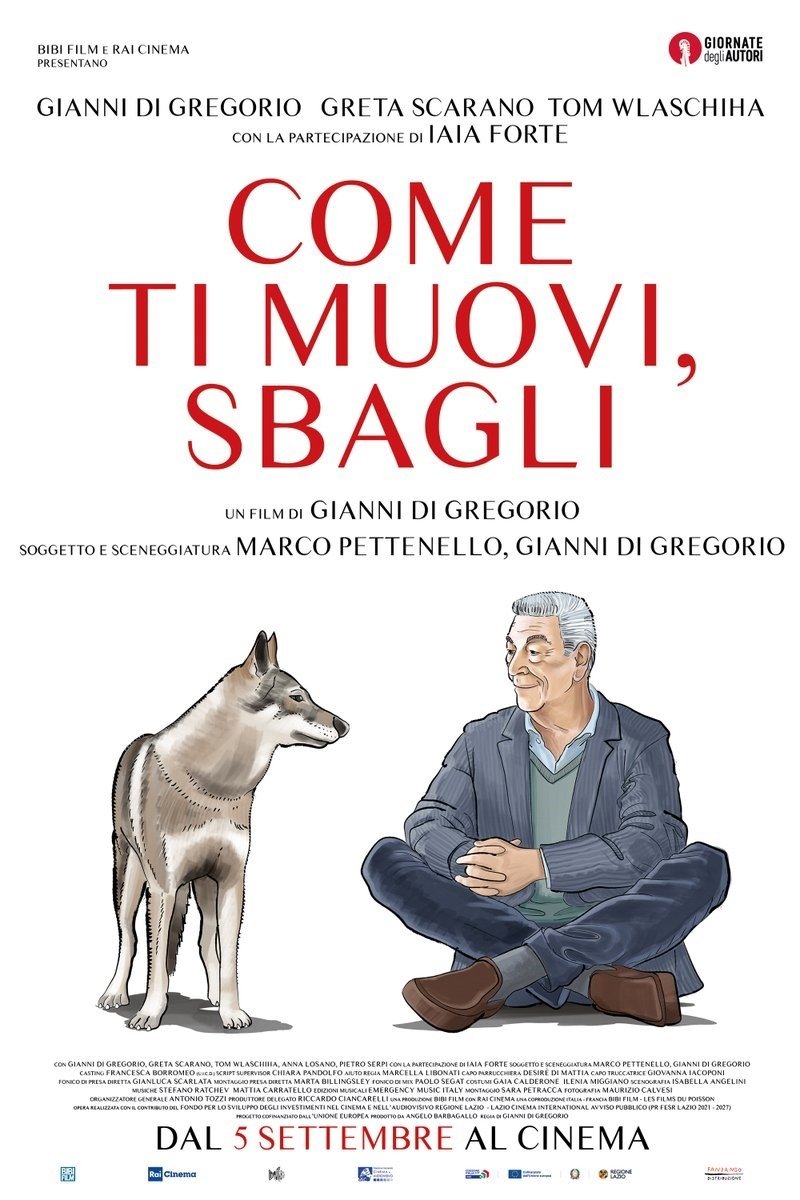 Poster de Come ti muovi, sbagli