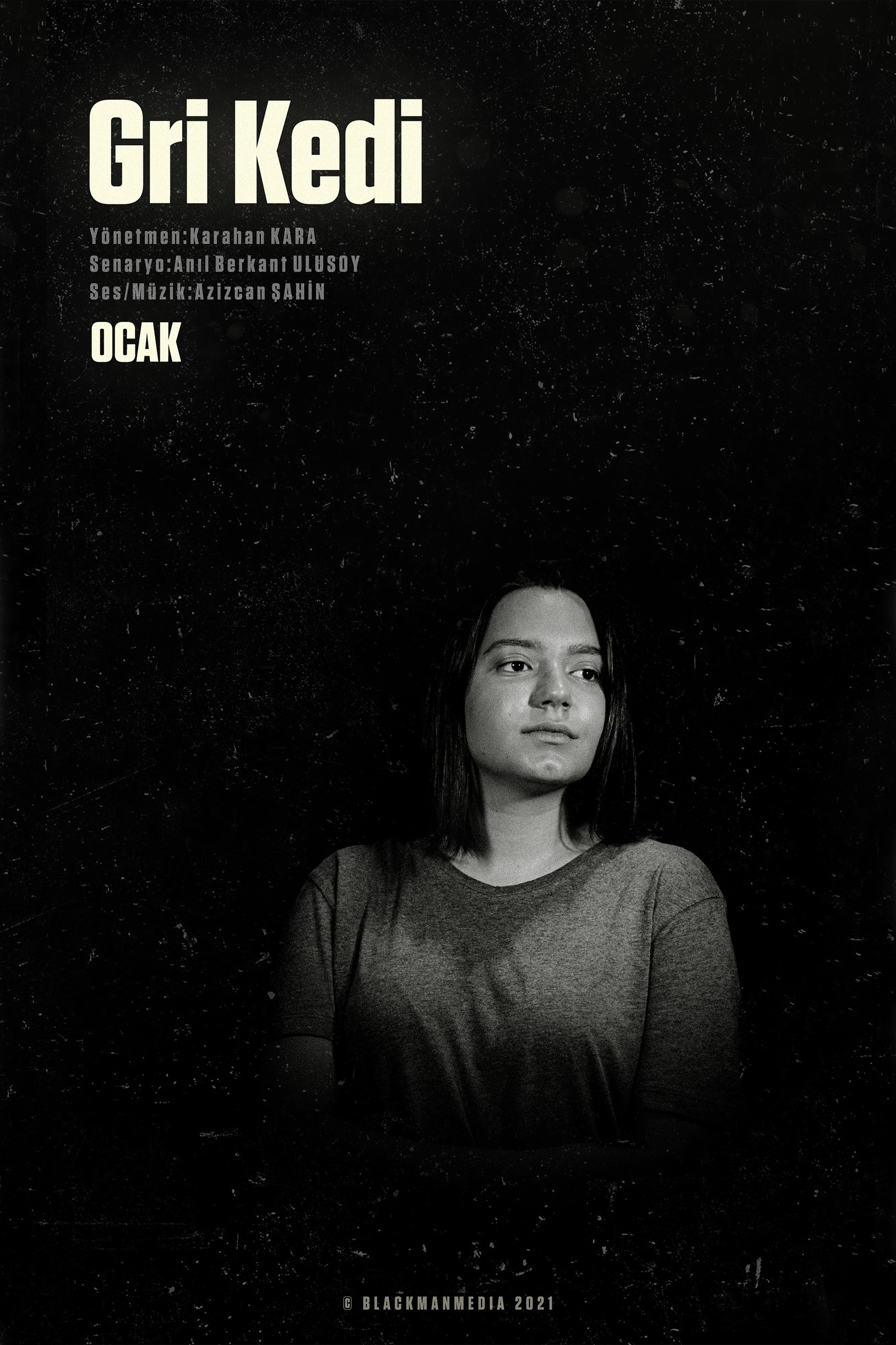Poster de Gri Kedi