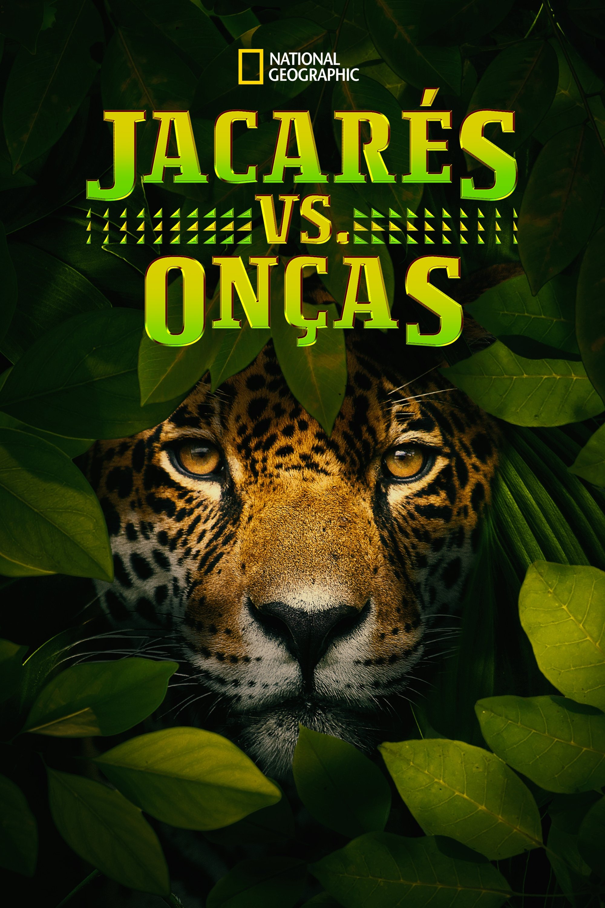 Poster de Jacarés vs. Onças