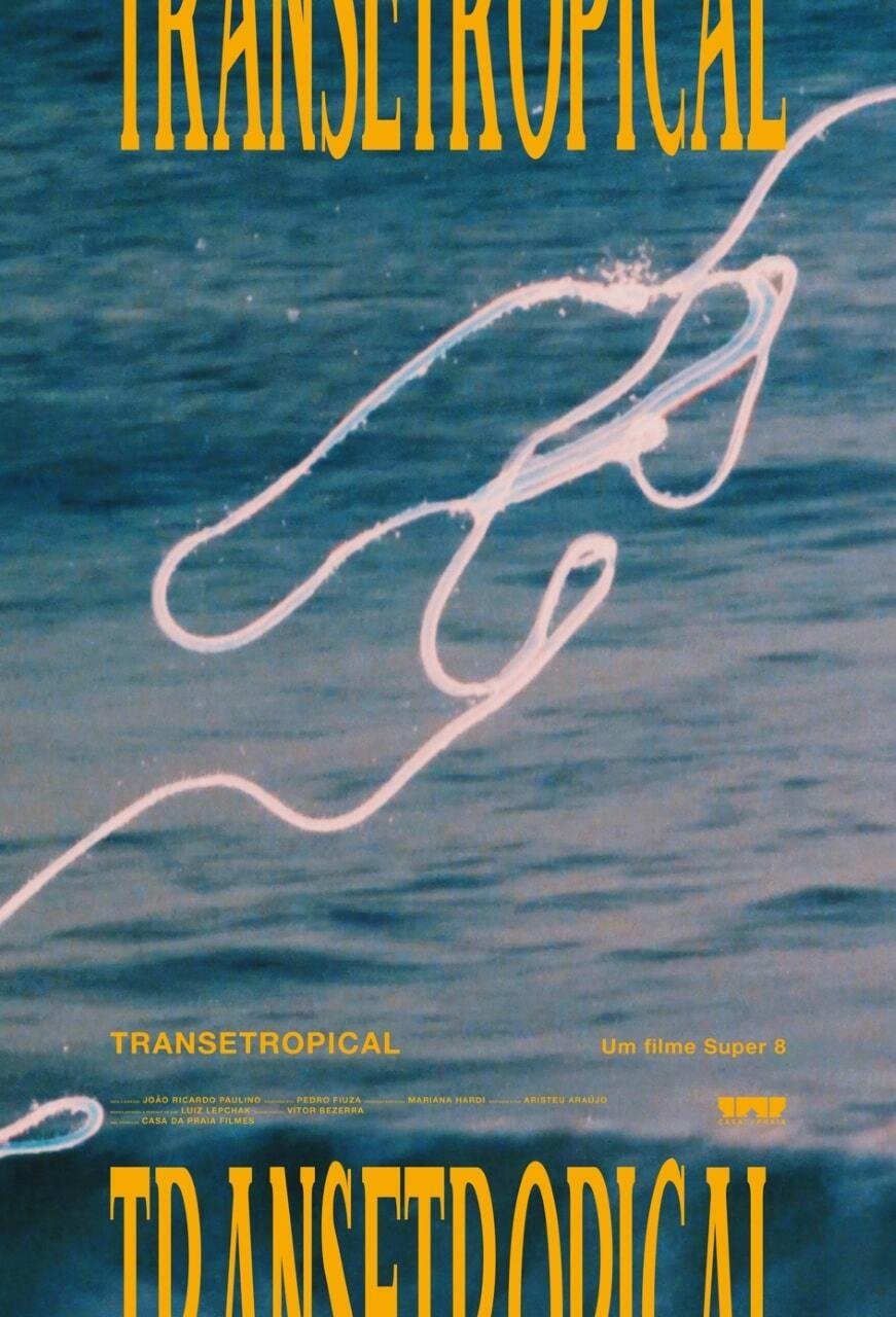 Poster de Transetropical