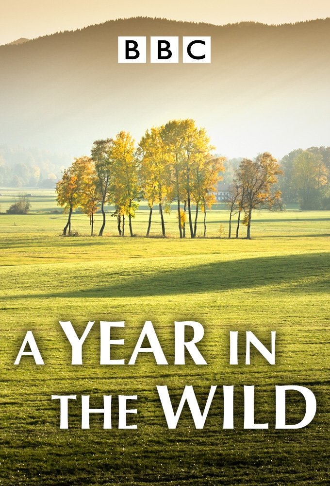 Poster de A Year in the Wild