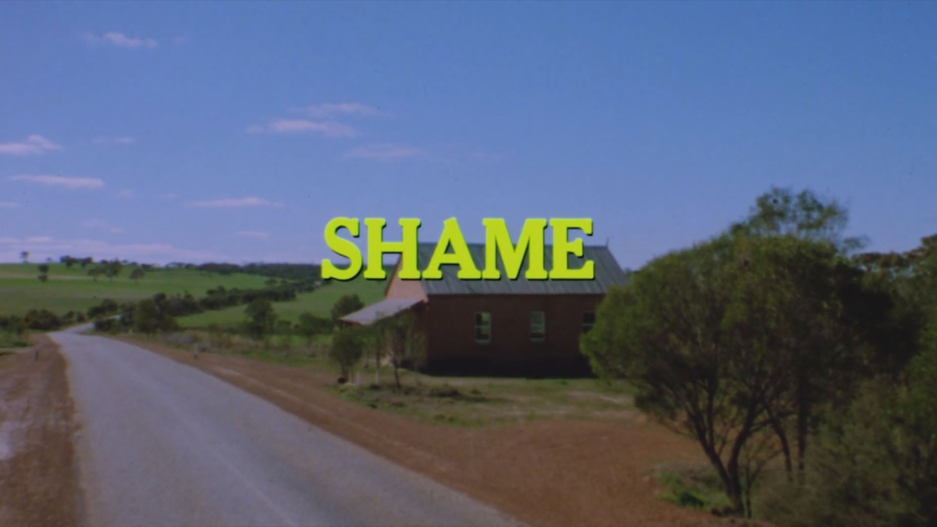 Shame (1988)