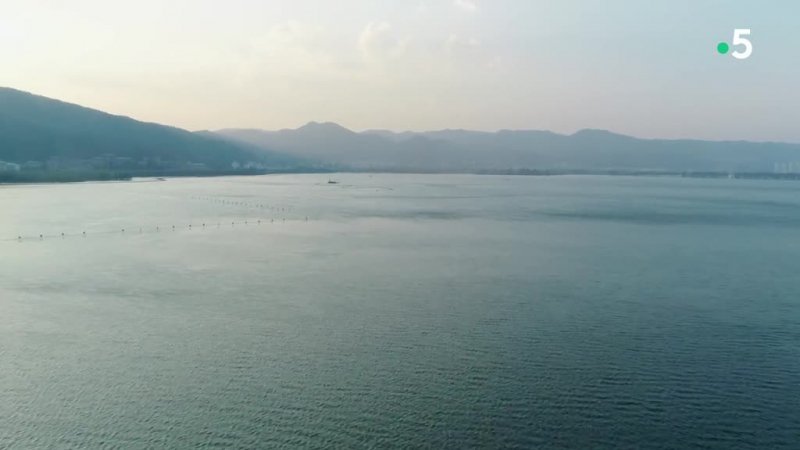 The tea route