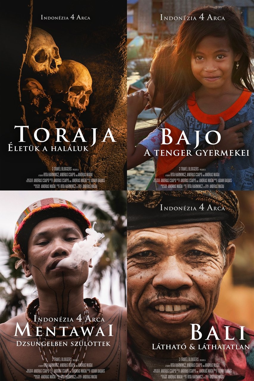 Poster de Indonézia 4 arca
