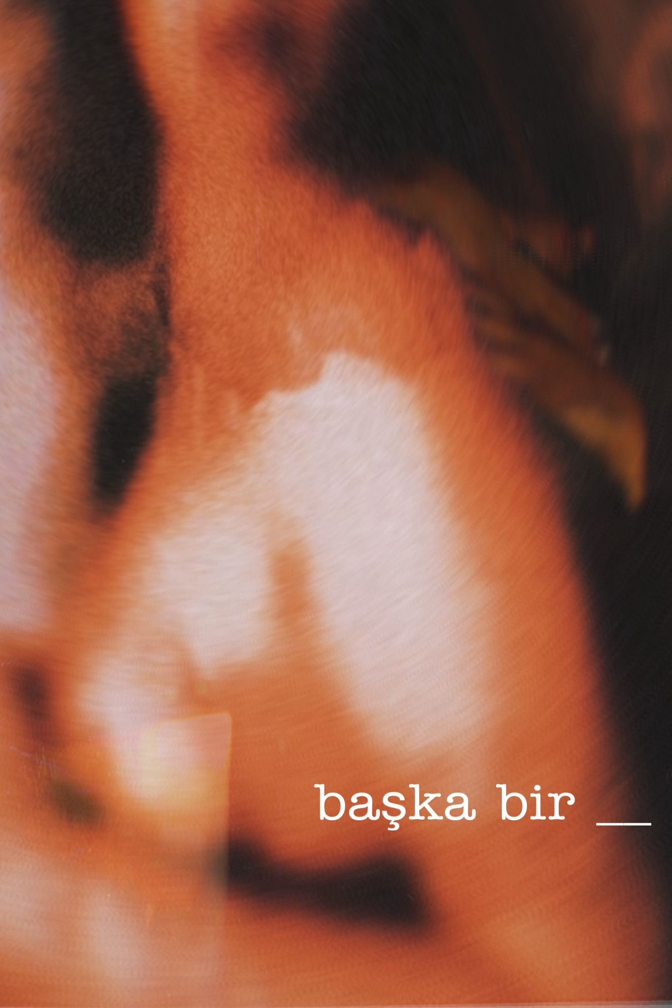 Poster de Başka Bir ____
