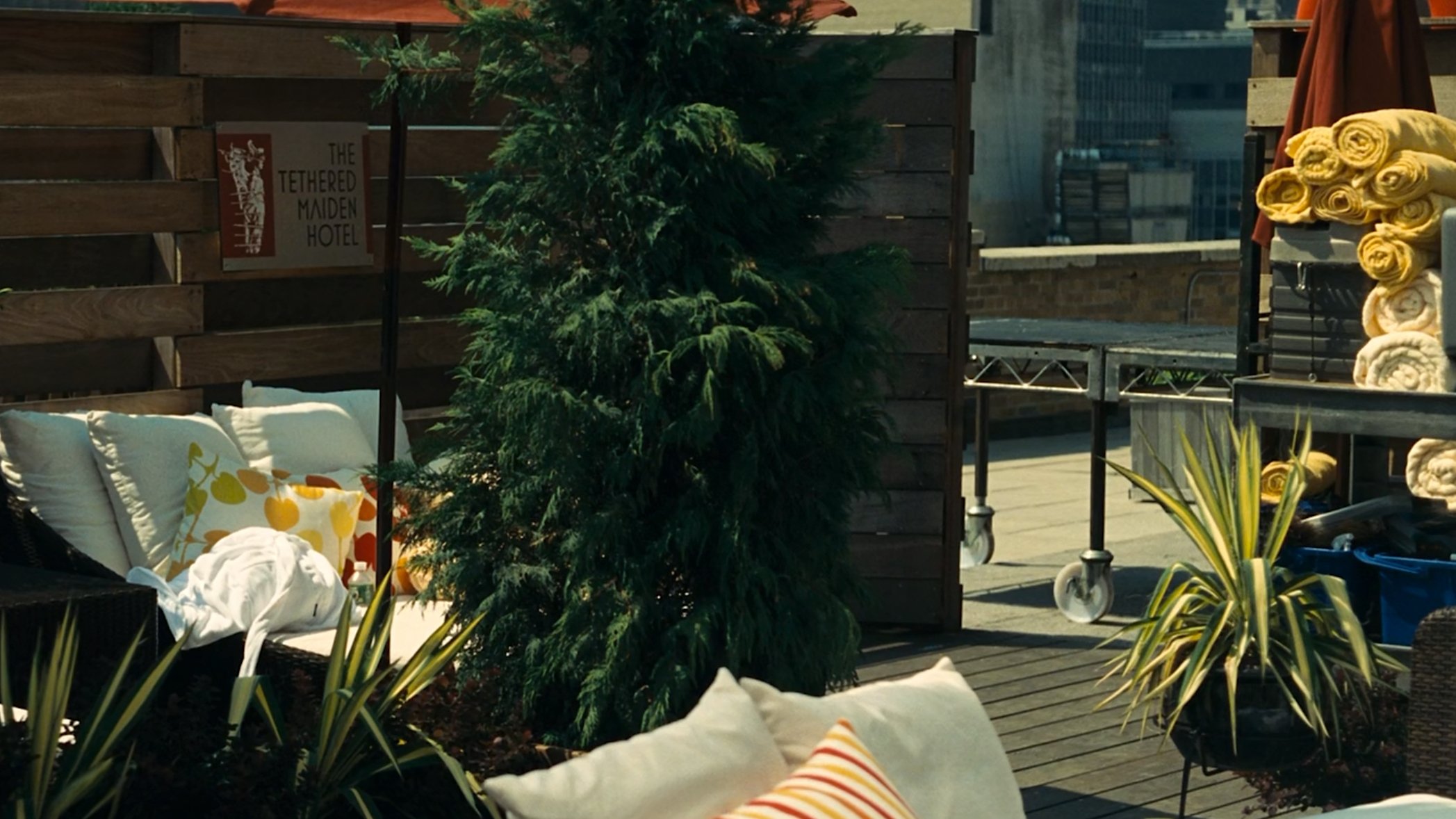 Backdrop image