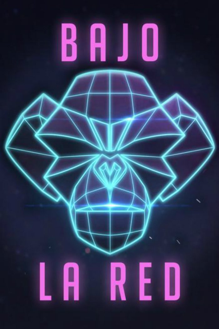 Poster de Bajo la Red