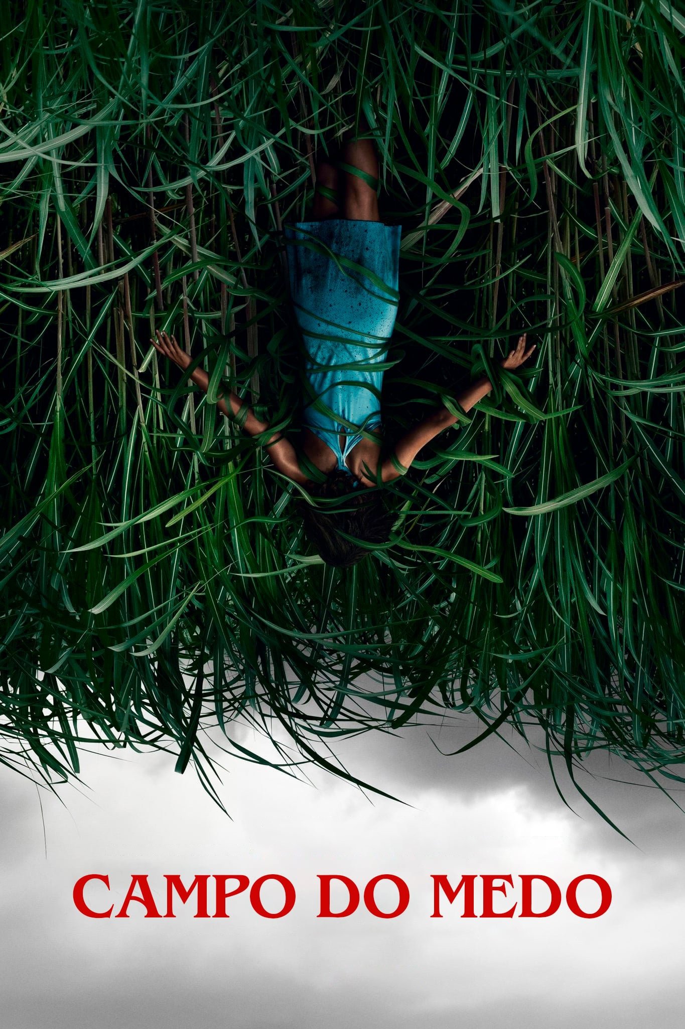 Poster de Campo do Medo