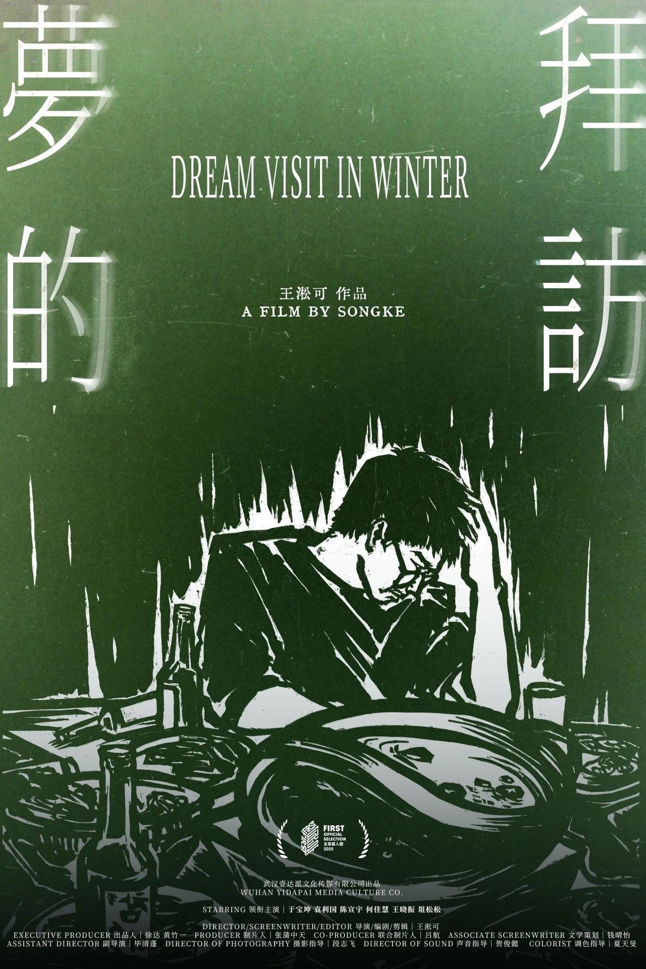 Poster de 梦的拜访