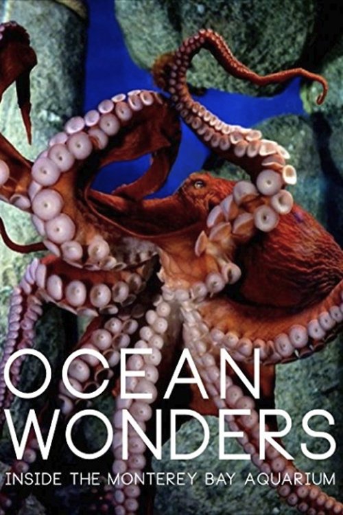 Poster de Ocean Wonders - Inside the Monterey Bay Aquarium
