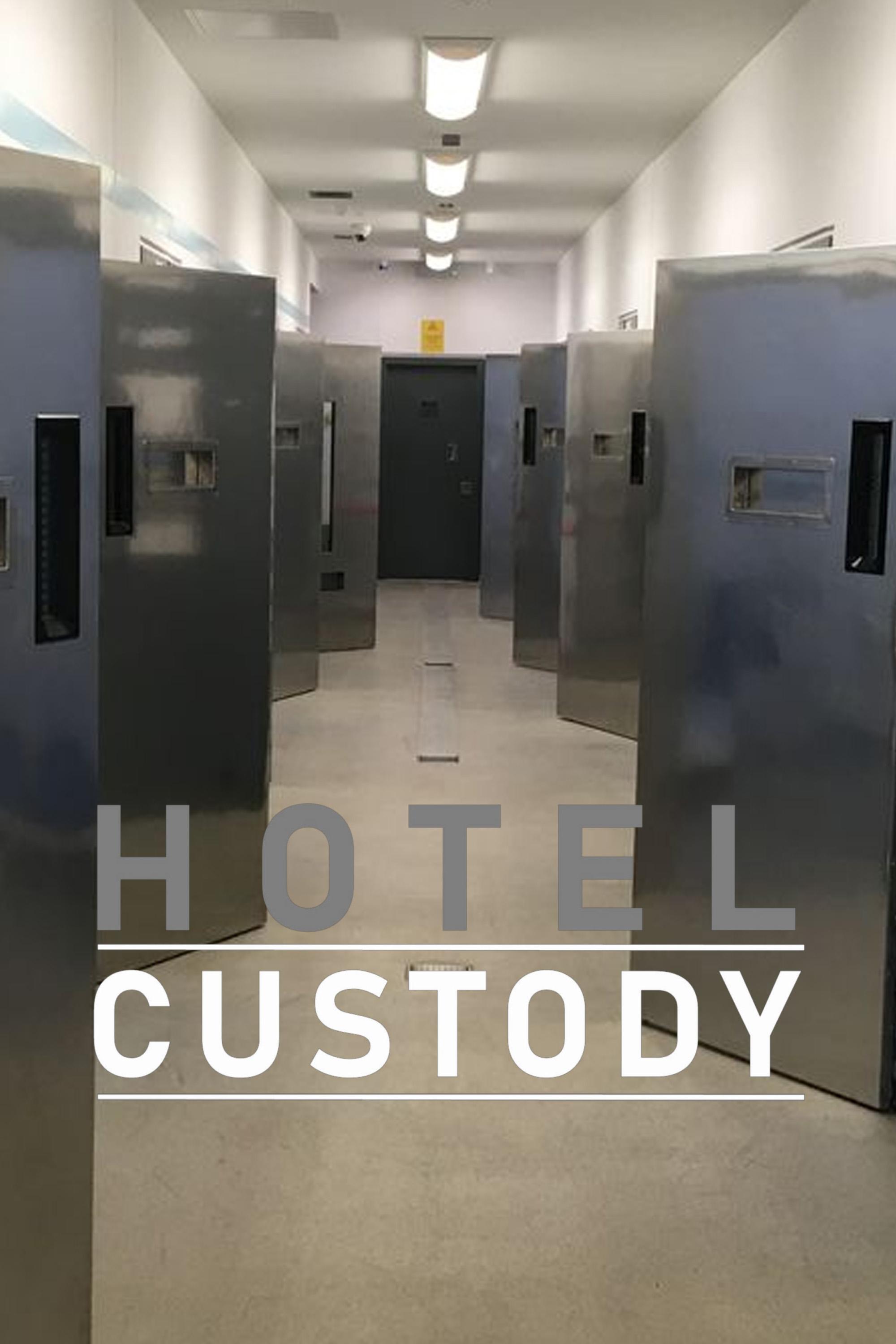 Poster de Hotel Custody