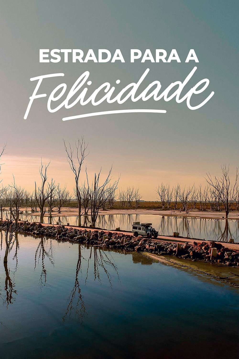 Poster de Estrada para a Felicidade