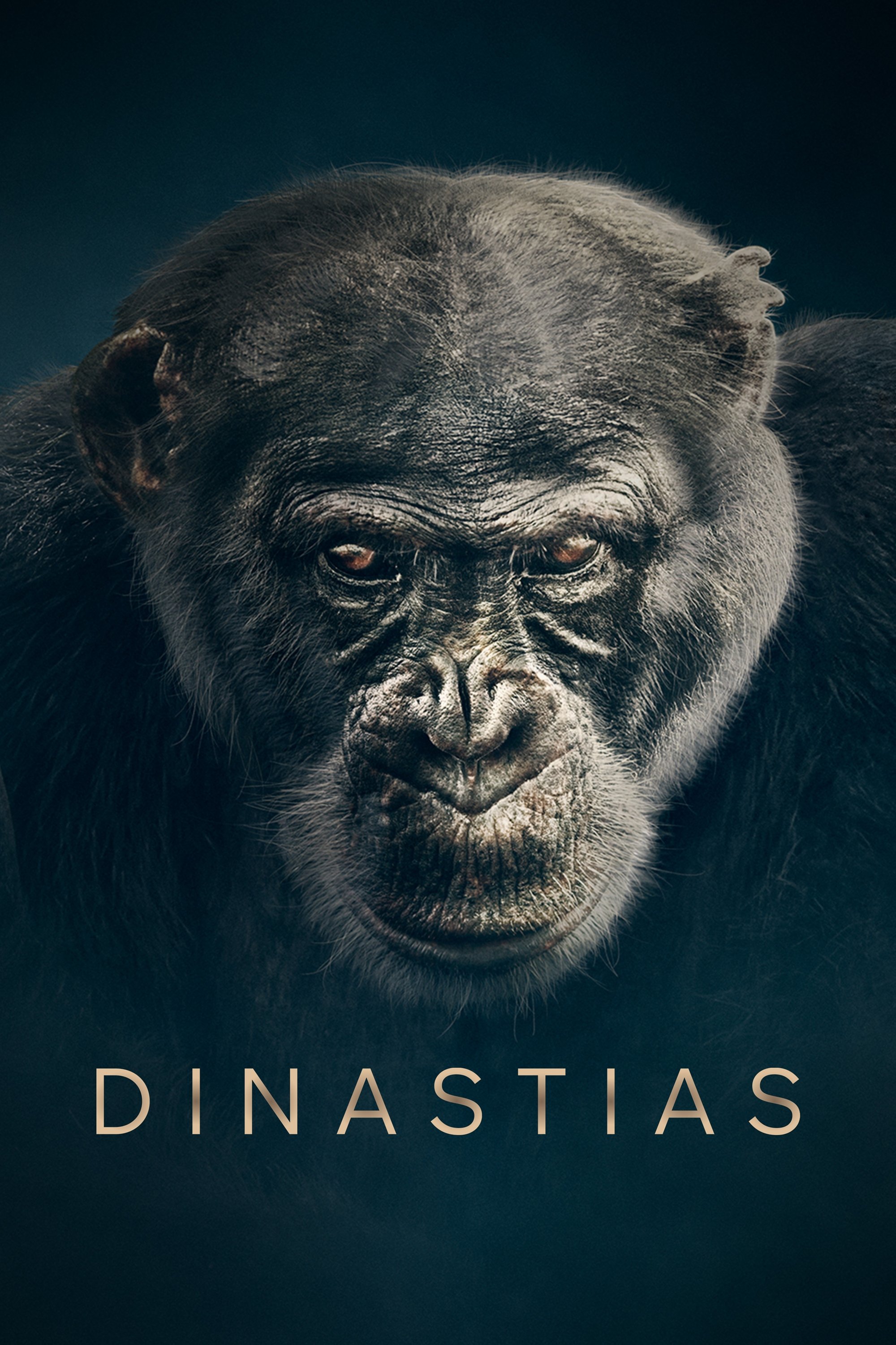 Poster de Dinastias