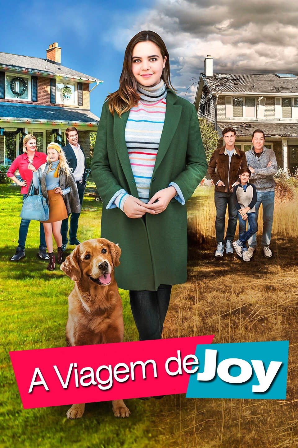 Poster de A Viagem de Joy