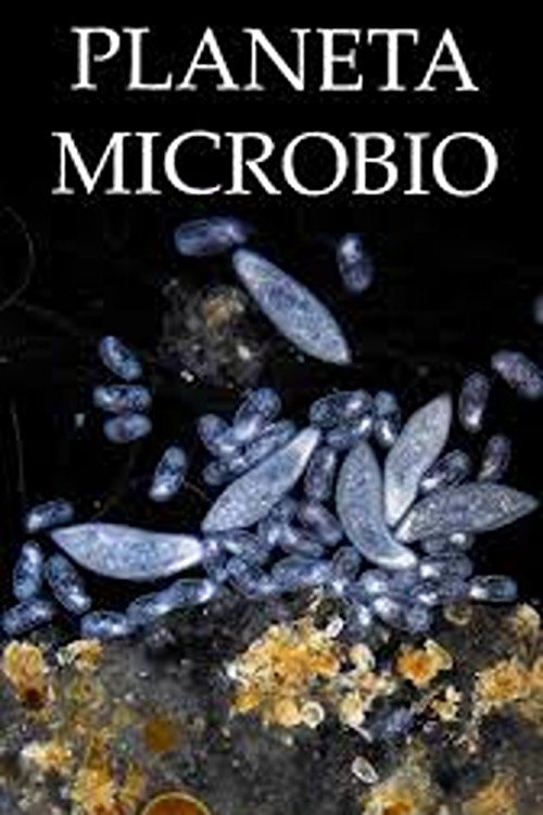 Poster de Planeta Microbio