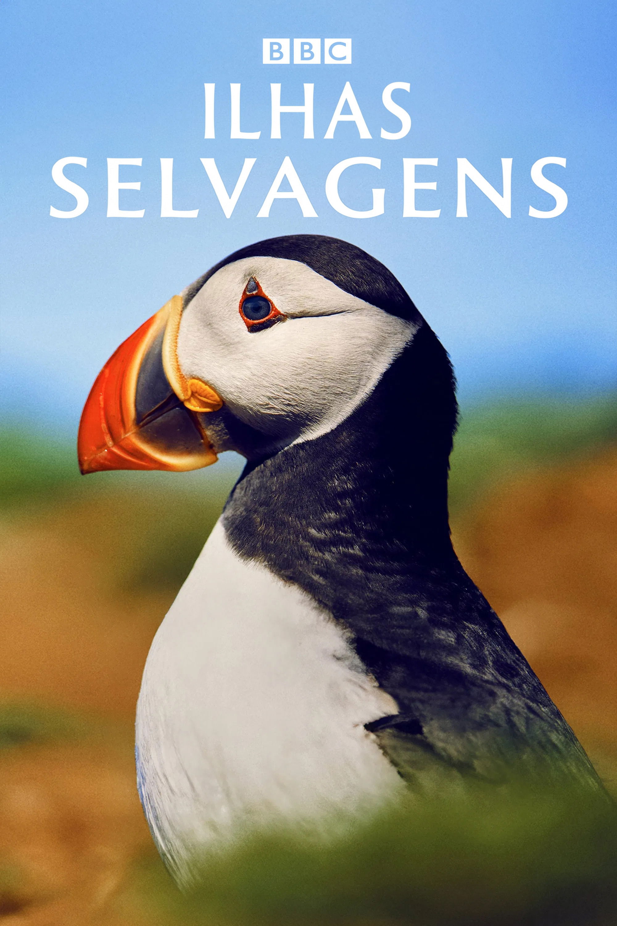 Poster de Ilhas Selvagens