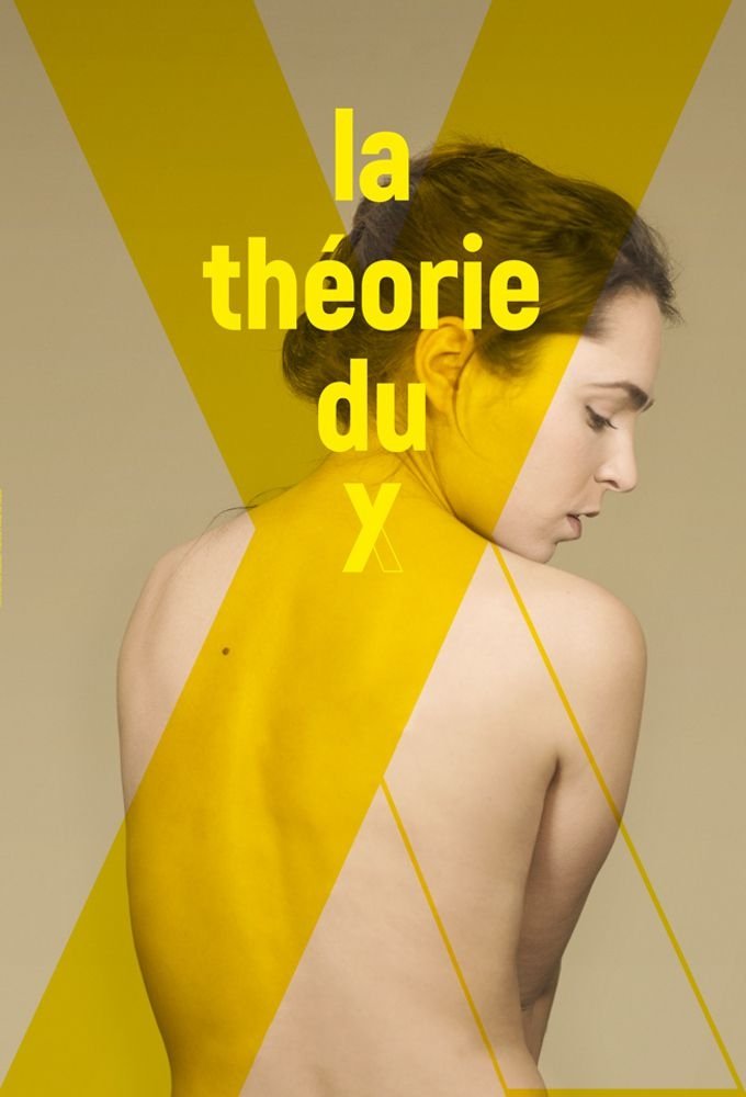 Poster de La Théorie du Y